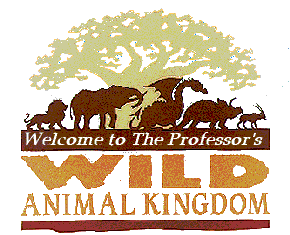 wild kingdom
